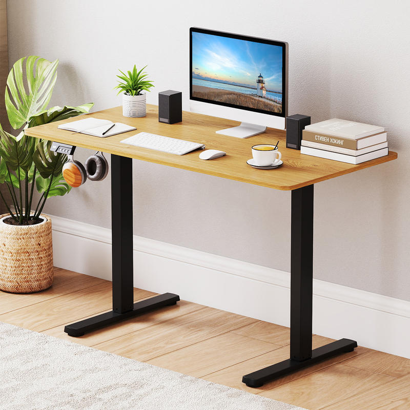 Elektrischer Stehpultrahmen, h – Desk Setup Height Bewertung und Preis